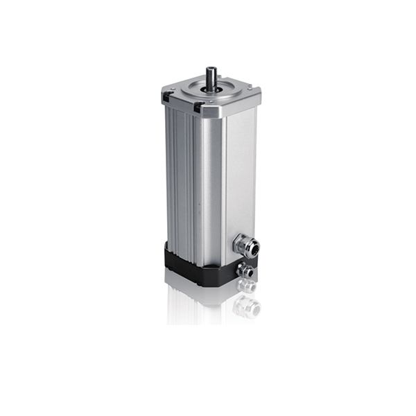 DC12V-300V AC 220/380V High Torque Brushless DC Motor