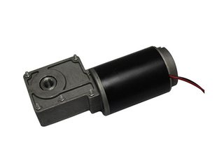 120V 240V Low Speed Brushless DC Motor